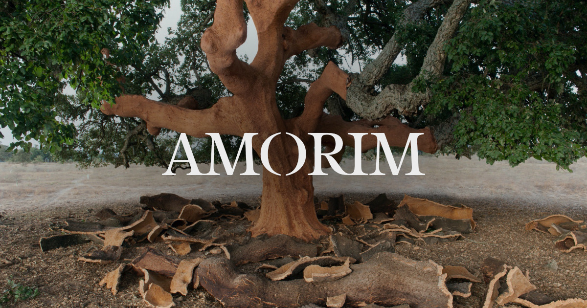 Videos Media Corticeira Amorim, world’s biggest cork processing group