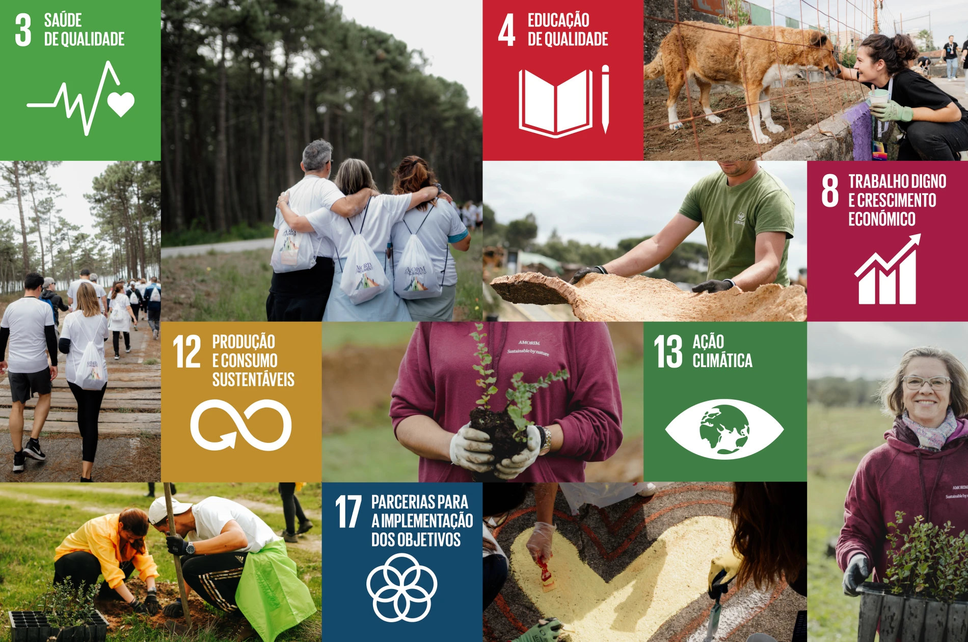 Sustainable Development Goals