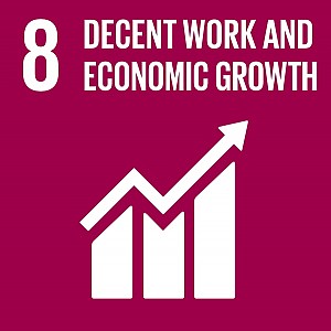8: Trabalho digno e crescimento económico