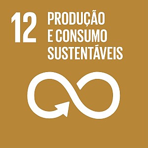 12: Produção e consumo sustentáveis