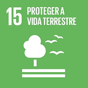 15: Proteger a vida terrestre