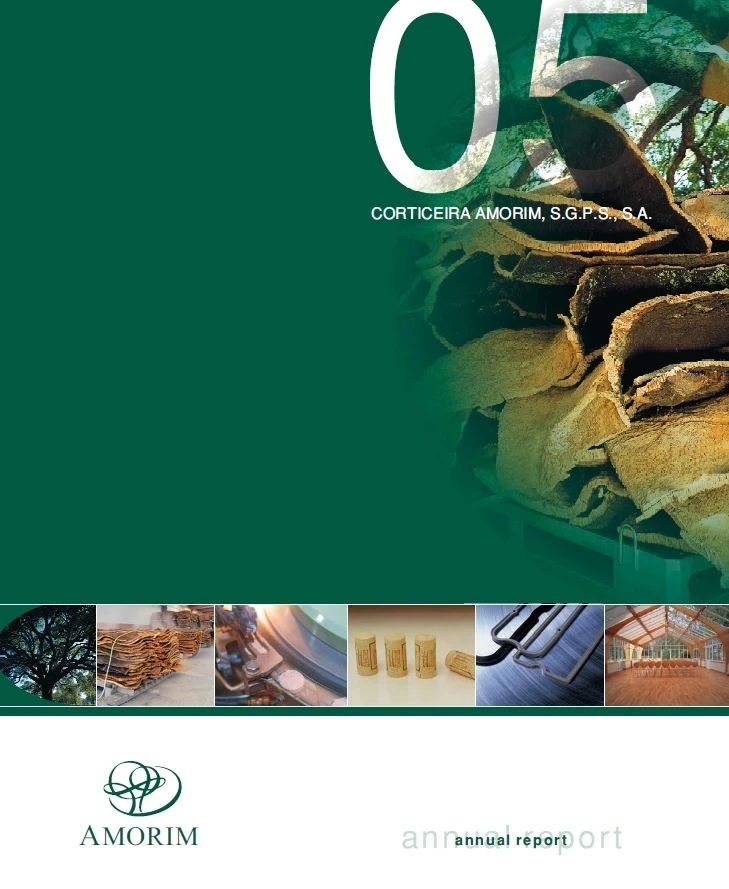 CORTICEIRA AMORIM - Favourable 4Q fuels higher 2005 sales and profits